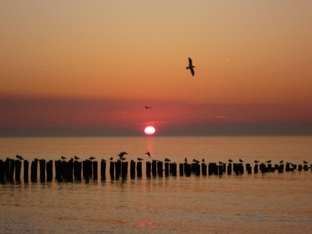 Vakantiewoning dichtbij Centrum Domburg DO13 Bagian luar foto